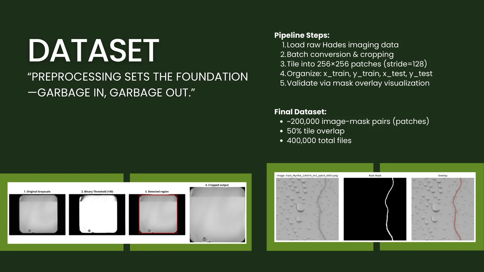 Plant segmentation data and preprocessing